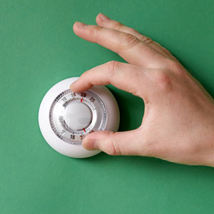 Adjusting the Thermostat